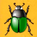 Gift Ant