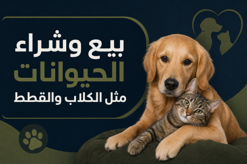 بيع وشراء الحيوانات مثل الكلاب والقطط